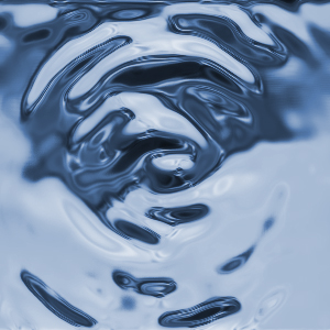 Craus Alexandru, Cojocaru Cristian & Popa Andrei.jpg